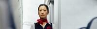 Flight Attendant career path